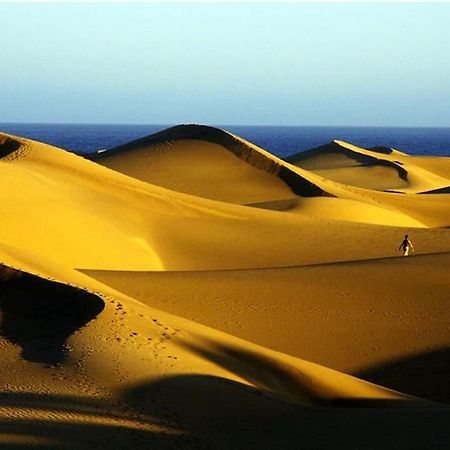 Caribe 530 Daire Playa del Ingles  Dış mekan fotoğraf